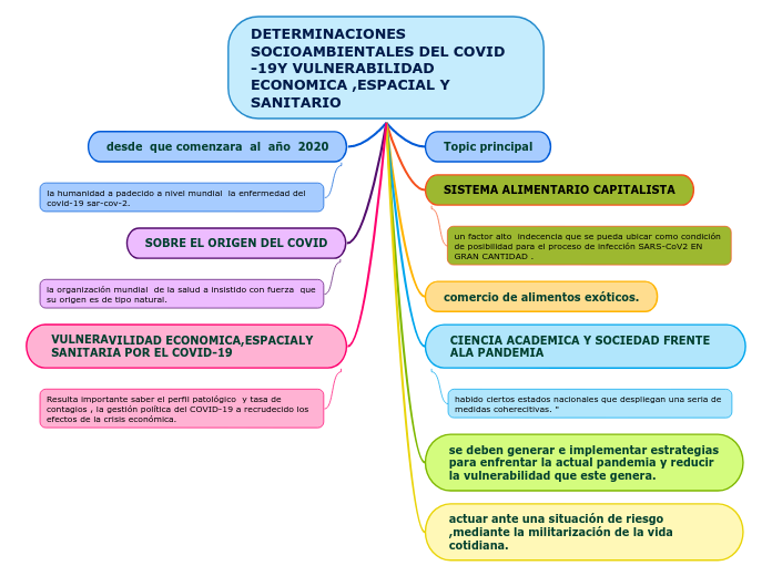 DETERMINACIONES  SOCIOAMBIENTALES DEL COVID -19Y VULNERABILIDAD ECONOMICA ,ESPACIAL Y SANITARIO