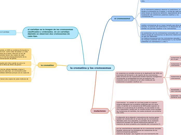 la cromatina y los cromosomas