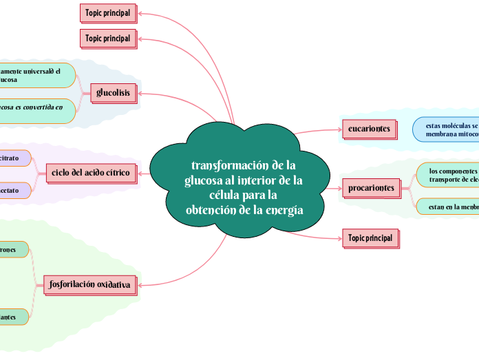 transformación de la glucosa al interior de la célula para la obtención de la energía