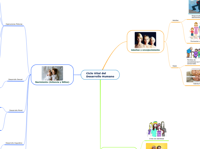Ciclo Vital del 
Desarrollo Humano