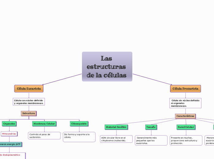 Las estructuras de la células 