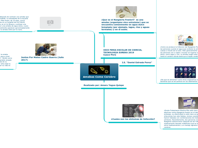 Amebas Come Cerebro