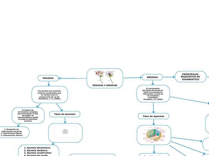 Mapa_Conceptual_Gnosias_y_Praxias_Kelly_Rodriguez