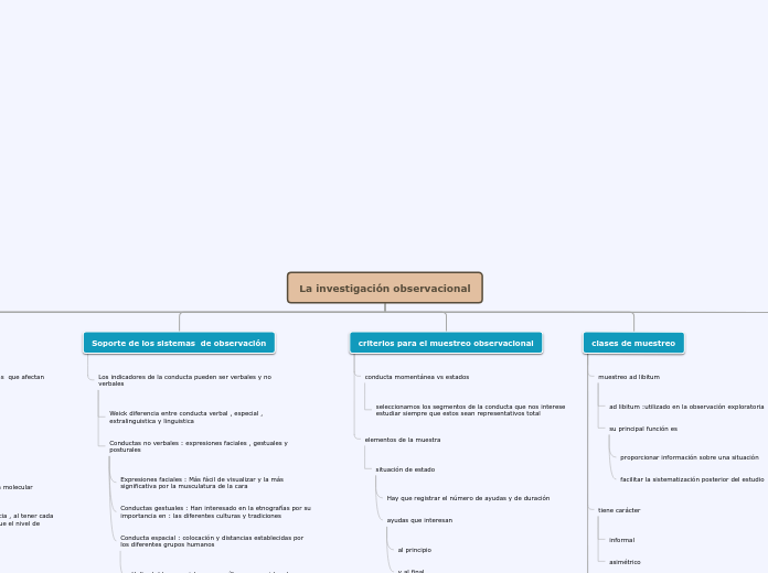 Organigrama arbol