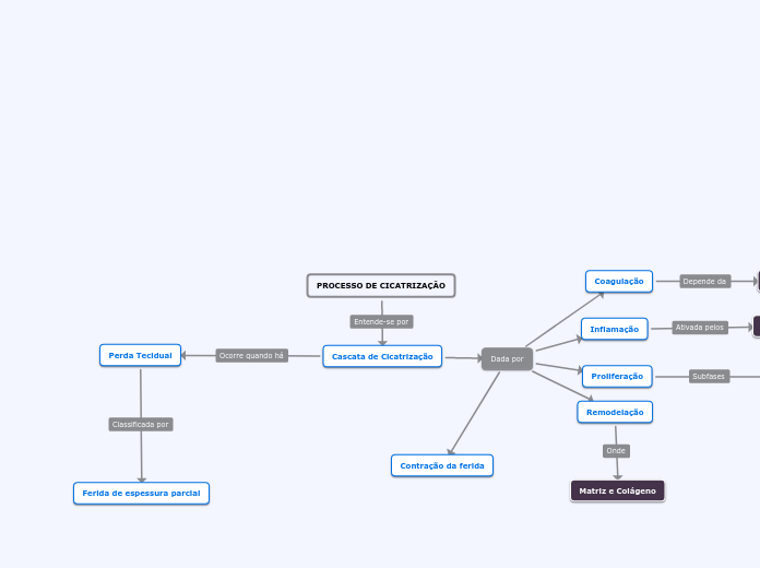 PROCESSO DE CICATRIZAÇÃO