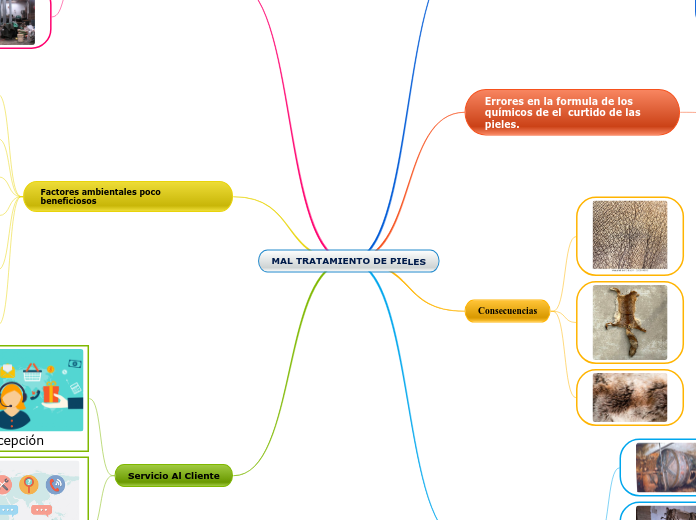 MAL TRATAMIENTO DE PIELES