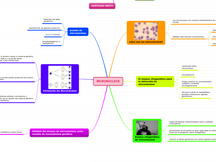MICRONÚCLEOS