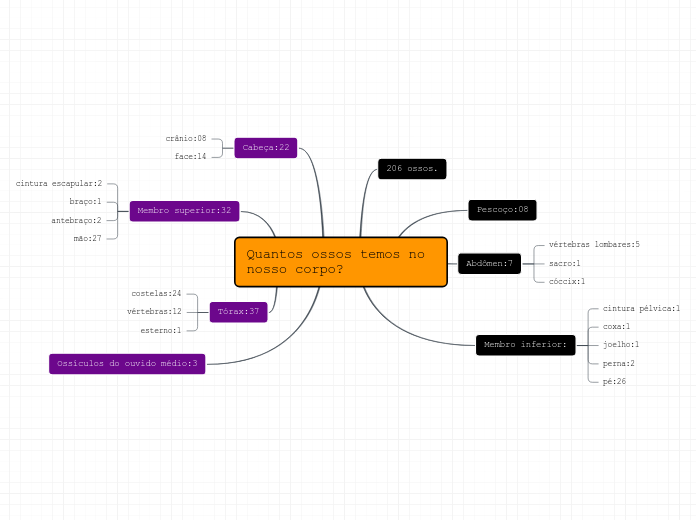 Quantos ossos temos no nosso corpo?
