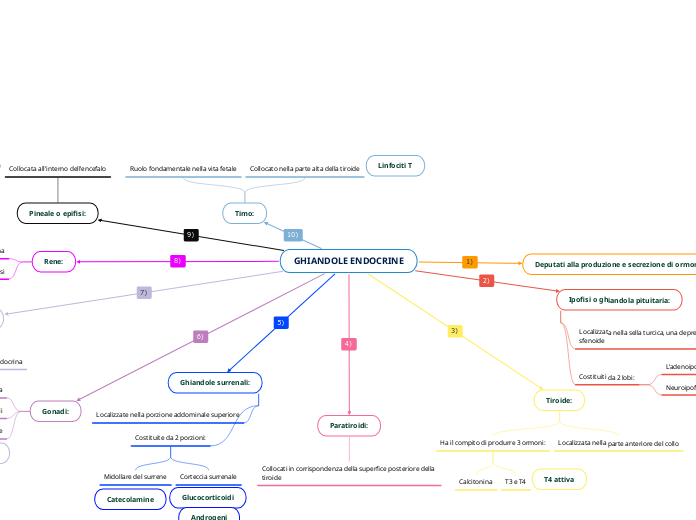 GHIANDOLE ENDOCRINE