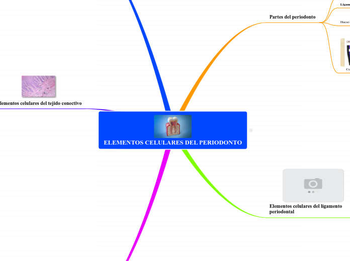 ELEMENTOS CELULARES DEL PERIODONTO