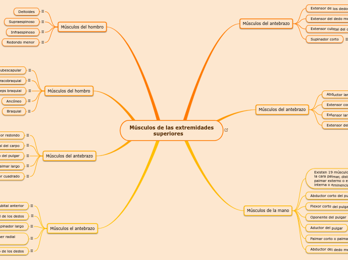 Músculos de las extremidades
              superiores