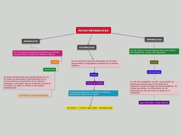 RUTAS METABOLICAS