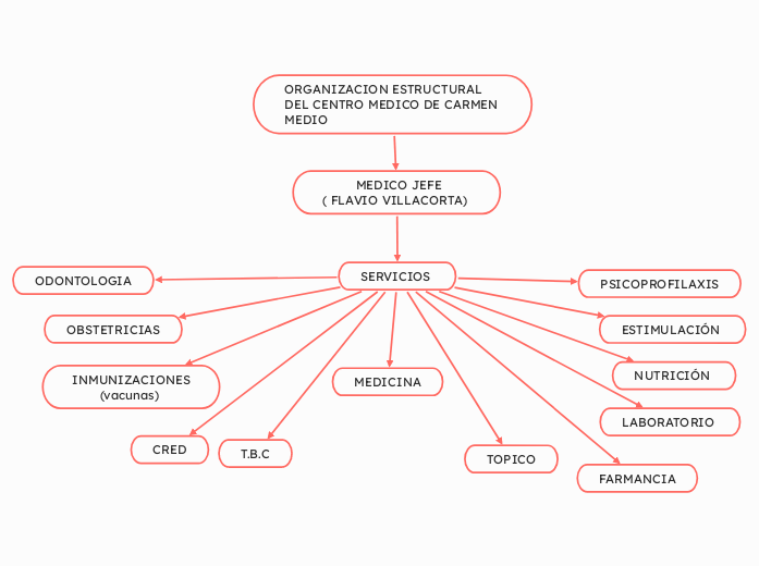 ORGANIZACION ESTRUCTURAL DEL CENTRO MEDICO DE CARMEN MEDIO 