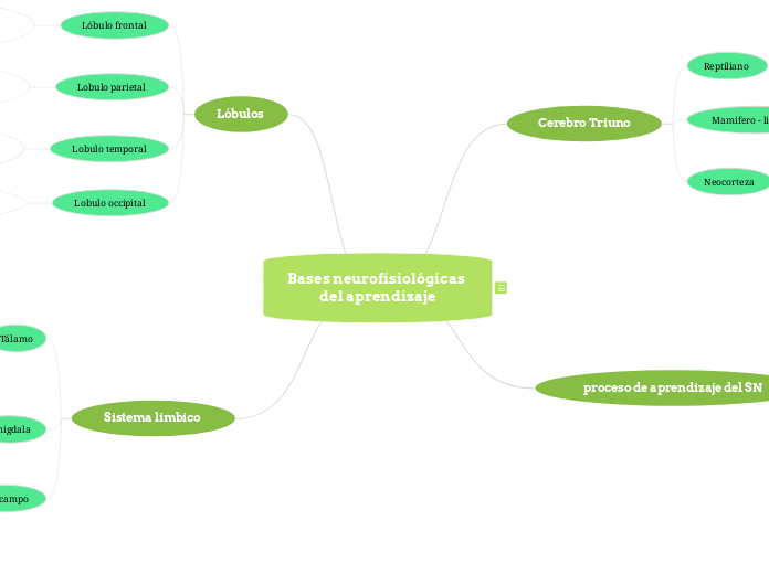 bases neurofisiológicas del aprendizaje