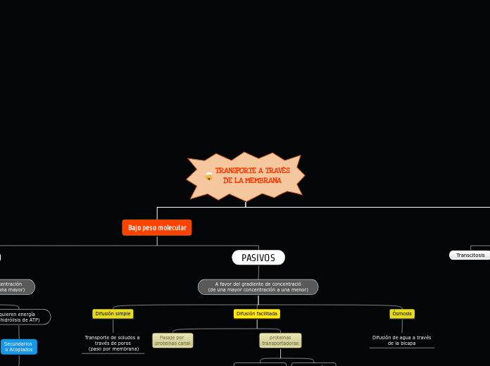 Organigram