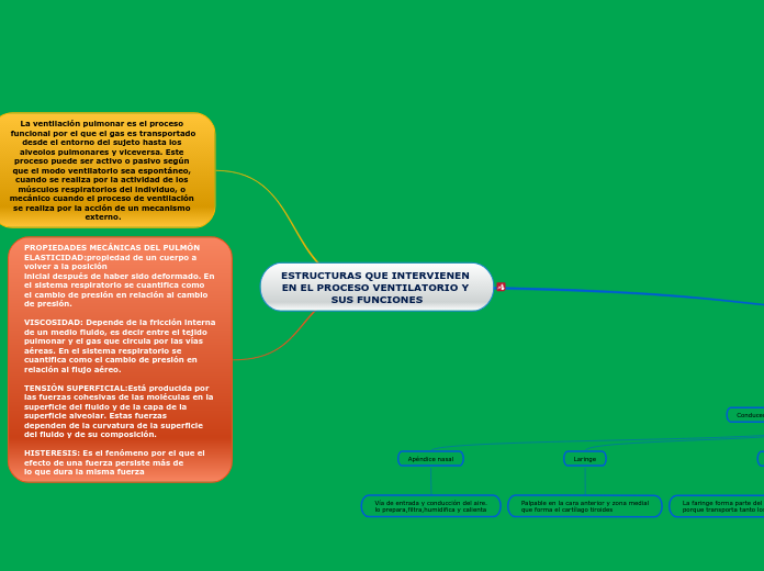 ESTRUCTURAS QUE INTERVIENEN EN EL PROCESO VENTILATORIO Y SUS FUNCIONES