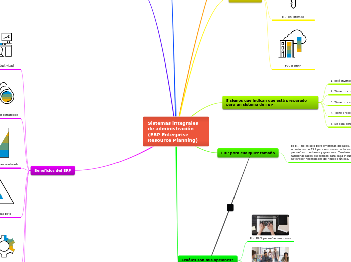 Sistemas integrales de administración (ERP Enterprise Resource Planning)