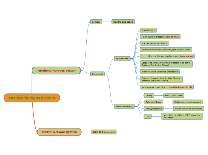 Luella's Nervous System