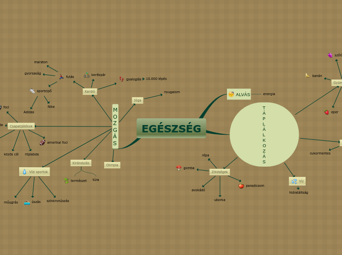 Egészség_mindmap