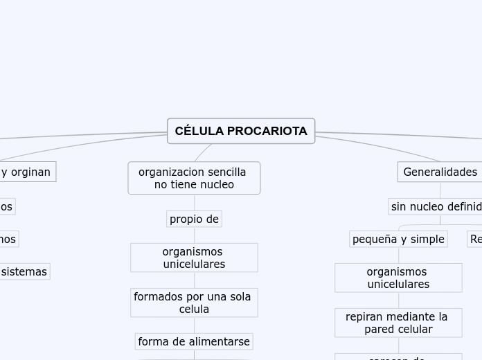 CÉLULA PROCARIOTA