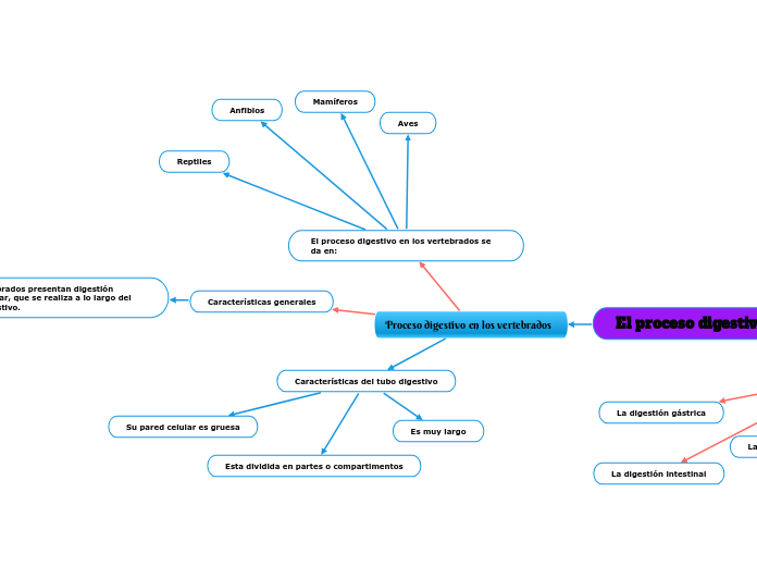 Proceso digestivo en los vertebrados