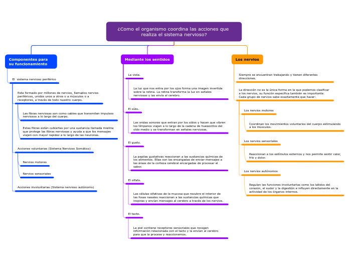 ¿Como el organismo coordina las acciones que realiza el sistema nervioso?