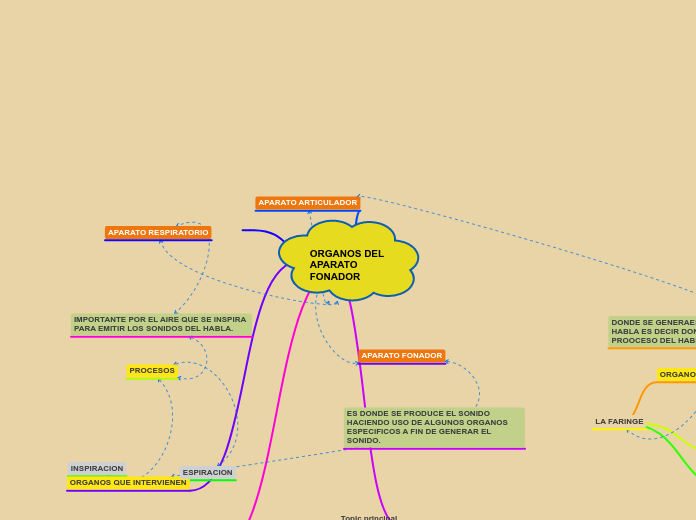 ORGANOS DEL APARATO FONADOR