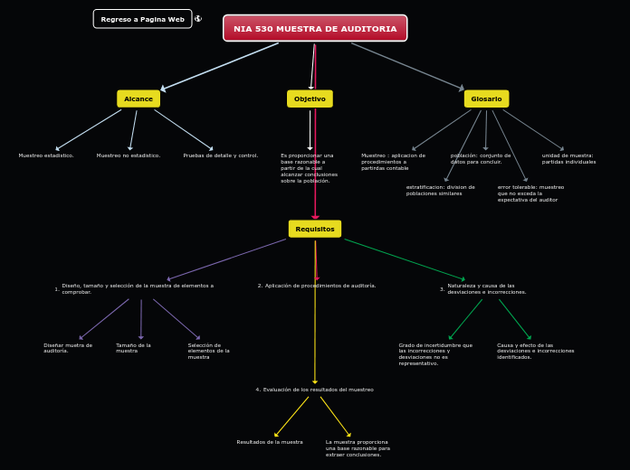 NIA 530 MUESTREO DE AUDITORIA