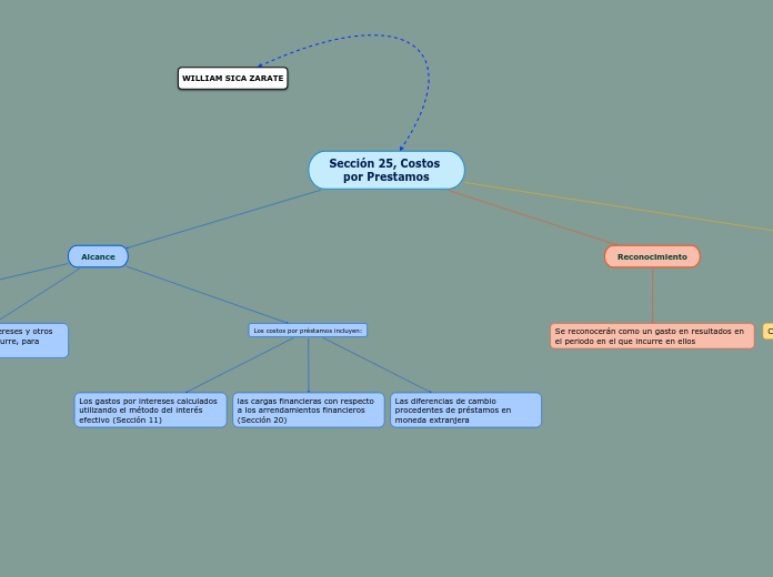 Sección 25, Costos por Prestamos
