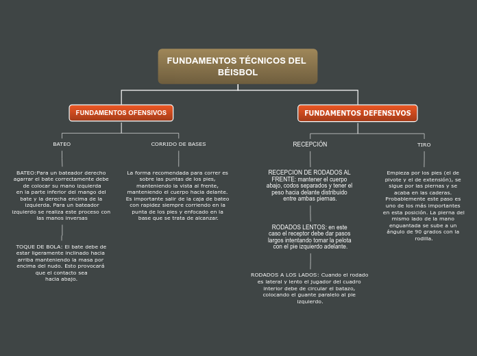 Organigrama arbol