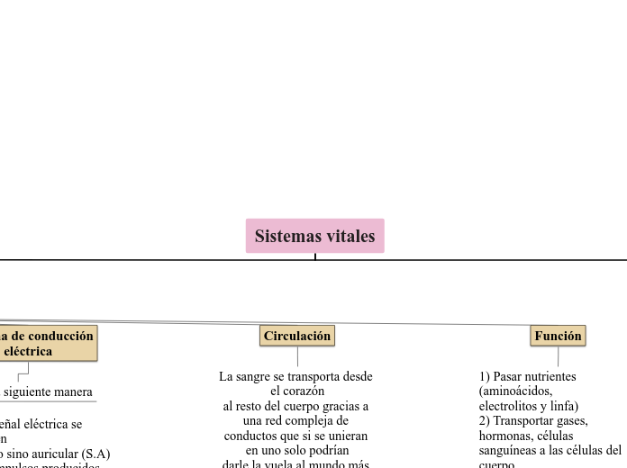 Sistemas vitales