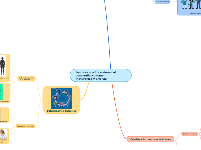 Factores que Intervienen el Desarrollo Humano:
 Naturaleza y Crianza