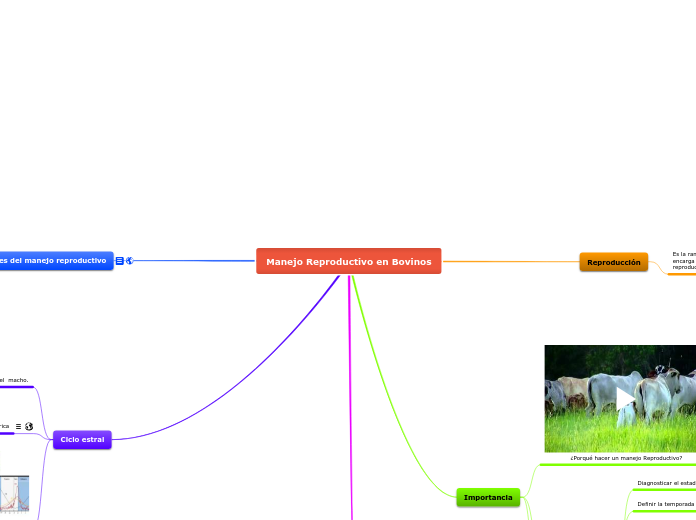 Manejo Reproductivo en Bovinos