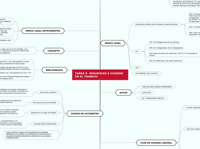 TAREA 9  SEGURIDAD E HIGIENE EN EL TRABAJO