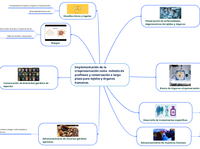 Implementación de la criopreservación como  método de profilaxis y conservación a largo plazo para tejidos y órganos humanos.