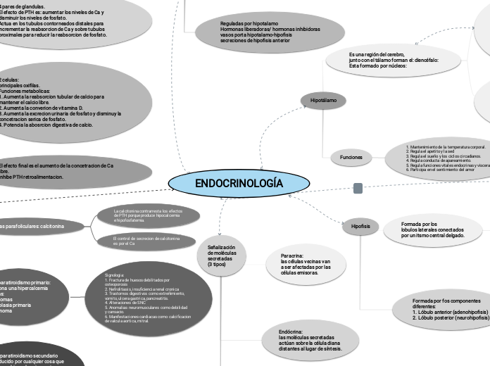 ENDOCRINOLOGÍA