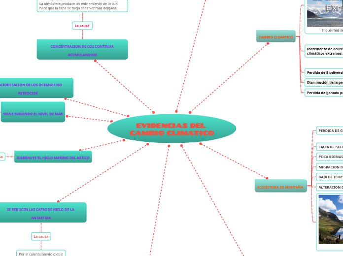 EVIDENCIAS DEL CAMBIO CLIMATICO