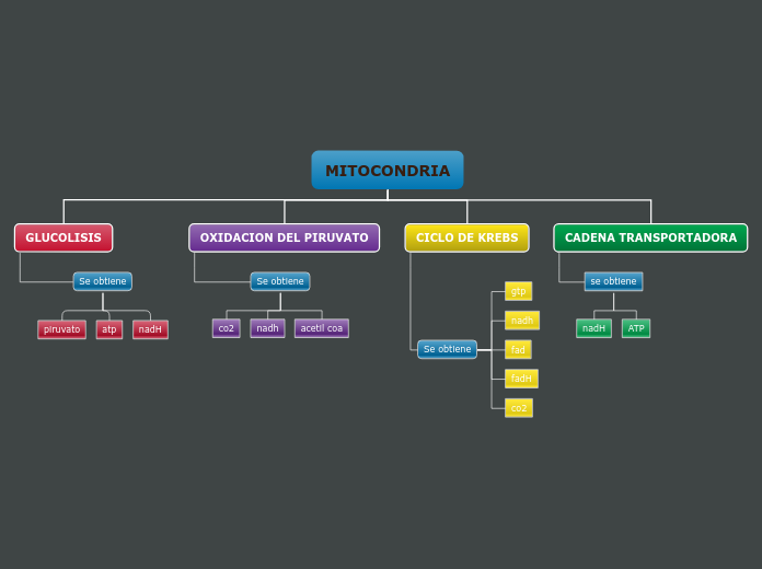 Organigrama arbol