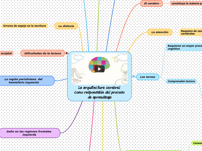 La arquitectura cerebral como responsable del proceso de aprendizaje