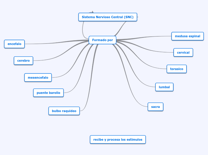 SISTEMA NERVIOSOS CENTRAL (NSC)