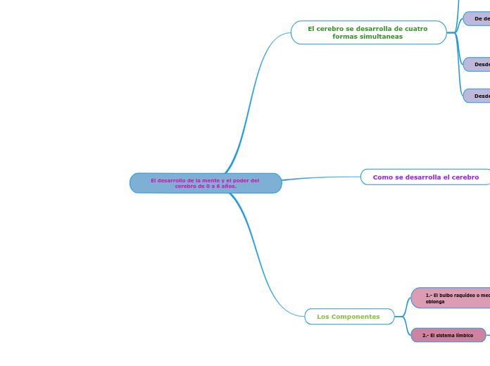 El desarrollo de la mente y el poder del cerebro de 0 a 6 años.
