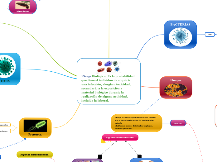 Riesgo Biológico: Es la probabilidad que tiene el individuo de adquirir una infección, alergia o toxicidad, secundario a la exposición a
material biológico durante la realización de alguna actividad, incluida la laboral.