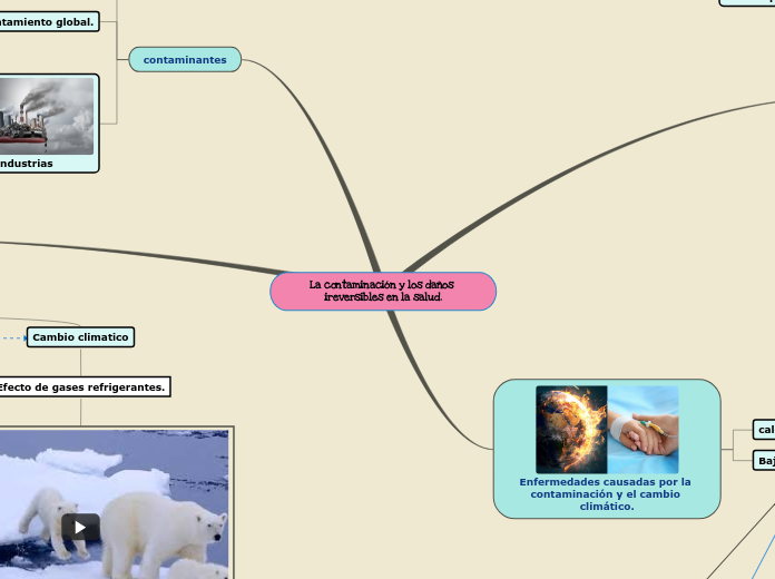 La contaminación y los daños ireversibles en la salud.