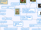 Diversity Concept Map