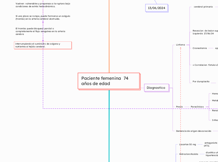 Paciente femenina  74 años de edad