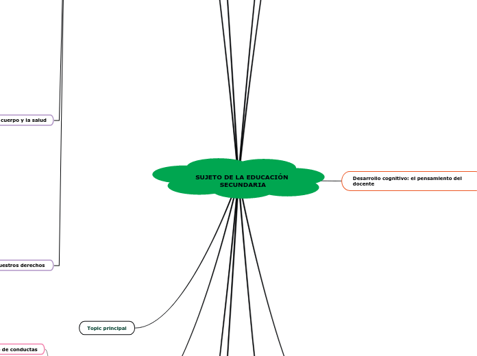 SUJETO DE LA EDUCACIÓN SECUNDARIA