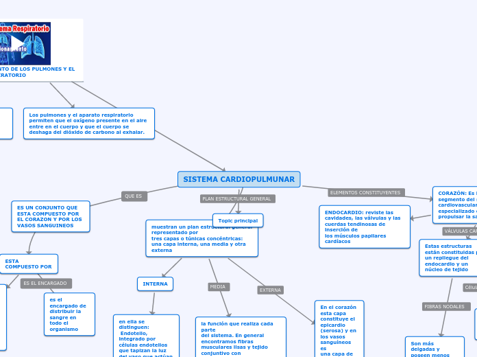 SISTEMA CARDIOPULMUNAR