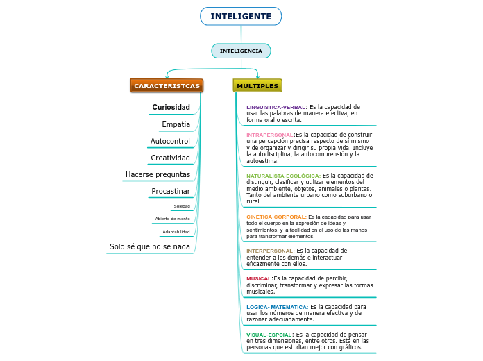 INTELIGENTE