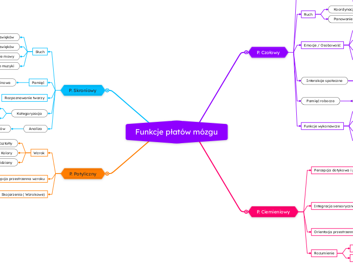 Funkcje płatów mózgu
