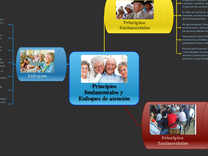 -Principios fundamentales y Enfoques de atención